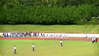 2014関西四私大 男子5000m前半