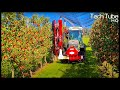 AWESOME Apple Harvesting Technology | Next Level Apple Juice Factory | Apple Cultivation