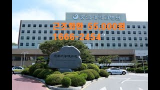 충남대병원장례식장 근조화환 55,000원부터