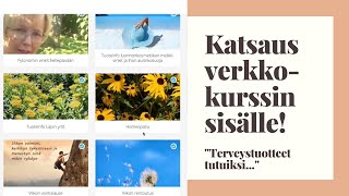 Esittely: Terveystuotteet tutuiksi -verkkokurssi