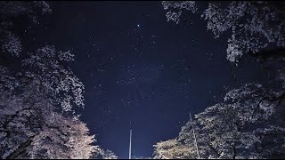 南信州高森町瑠璃寺の源頼朝公寄進桜と星空（SONYα7SⅢリアルタイム動画）