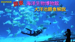 20241005 屏東海洋生物博物館/大洋池餵食解說