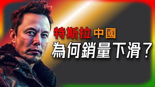 【Tesla每日快訊】 市場誤判！特斯拉在中國銷量跌 11% ，其實是這個原因🔥新款Model Y/比亞迪（2025/2/8-1）