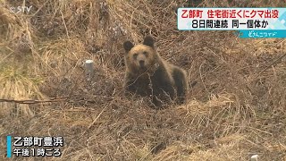 カメラ前にじっと居座るクマ　住宅地近くに出没相次ぐ　同一個体か　北海道乙部町