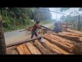 “We stopped going into the forest due to landmines”; Myanmar lumberjack | Radio Free Asia (RFA)