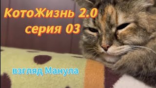 КотоЖизнь 2.0 серия 03 Жизнь продолжается)))