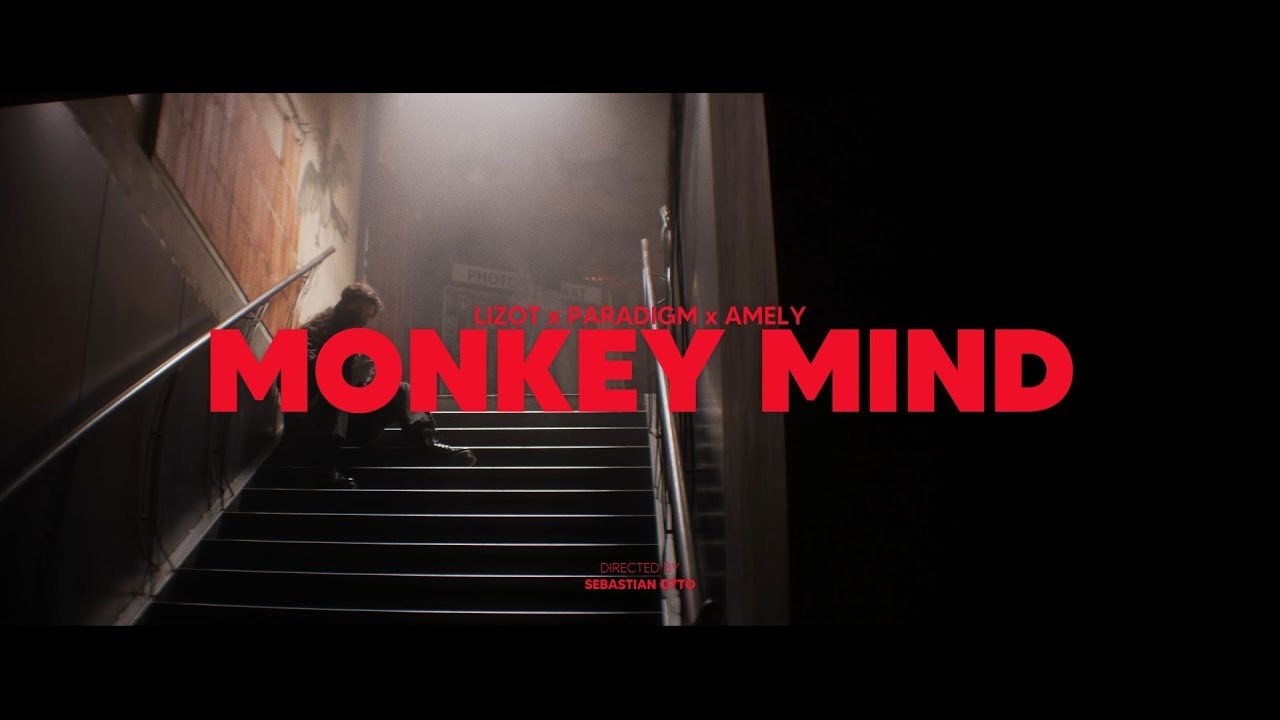 Lizot Paradigm Amely Monkey Mind Youtube Music
