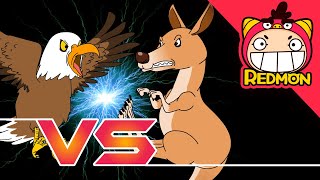 Kangaroo vs Eagle | Animal Battle | 4K cartoon | REDMON