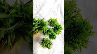 #meesho Artificial Plants for Room Decor #youtubeshorts #shorts #shortsviral #trending