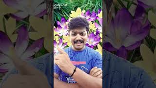 കൽക്കണ്ടം ചുണ്ടിൽ ചുമ്മാ #viral #2023 #youtubeshorts