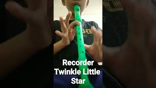 Recorder Twinkle Little Star Song