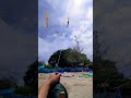 BEDANDANG TAPIN#layangan #layanglayang #layanganputus #kite #kiteflying #kalbar #shorts