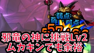 【DQMSL】邪竜の神に挑戦　Lv2   無課金でも余裕の4ターン！