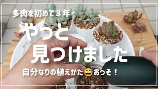 【88】＊多肉植物＊白のスリット鉢届きました😆早速使います😊2023年9月23日