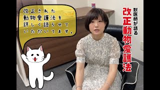 獣医師【 はらやなみ 】が伝える！改正動物愛護法について！！