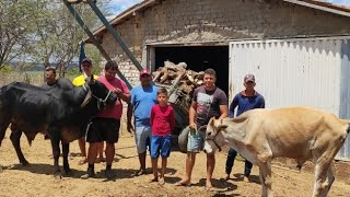 VEIO 2 RAPAZ DE JOÃO PESSOA COMPRAR UMAS CABRAS DE NETO E A RESENHA FOI GRANDE