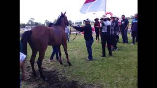 PACUAN KUDA BHAYANGKARA CUP 2019