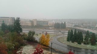 Bellevue, Washington Snow near Seattle 2017 4K