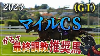 2023年マイルチャンピオンシップ（GⅠ）最終調教推奨馬＆がるざ調教推奨・No. 1