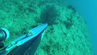 Deep Spearfishing Cyprus White Grouper 3.8