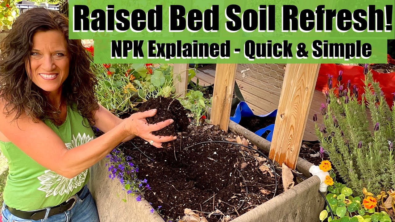 How To Recharge Your Raised Bed Soil