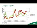 goatmeat webinar market update