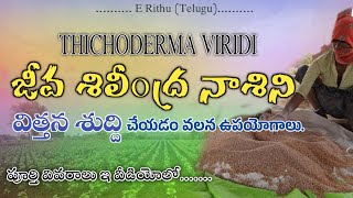 Trichoderma viridi use in telugu|How to use TrichoDerma Viridi|@E_RAITHU