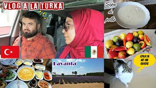 Fuimos A Junta Familiar 😱 + Sopa De Pollo A La Turka 🇹🇷 + Compras | Mexicana En Turquía