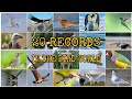 20 RECORDS IN THE BIRD WORLD