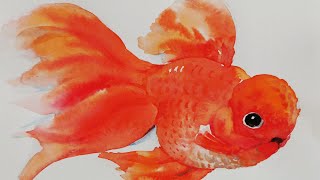 【土人教画】281 水彩画 金鱼 Terrain art class Watercolor-Goldfish 土人老师网课报名微信16478318998