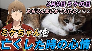 【幕末志士切り抜き】ミケちゃんが亡くなった時の心情【APEX】【幕末坂本/もこう】【3月9日ミケの日】