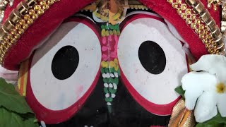 #ସକାଳ ପ୍ରଣାମ ତୁମର 🙏#jay 🌷 Jagannath 🙏🌷#reels #reelsfb #Jay #shyam