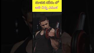 🔥మానవ శరీరం లో అతి చిన్న ఎముక ఎడవుంది తెలుసా? || Smallest Bone In Our Body ||#telugufacts