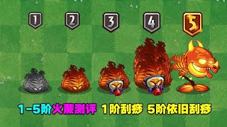 PVZ：1 5阶火蕨测评：1阶刮痧，5阶依旧刮痧！【庄先森解说】