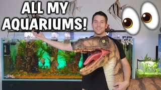 All My Fish Aquariums Tour And UPDATE!