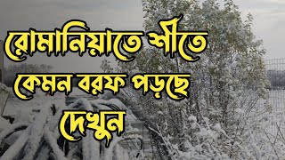 রোমানিয়াতে শীতের সময় বরফ পড়ার মনোরম দৃশ্য দেখে অবাক হয়ে যাবেন || Winter Time in Romania ||