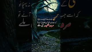Best Quotes | Urdu Quotes| Heart touching quotes| #youtubeshorts #status #motivation