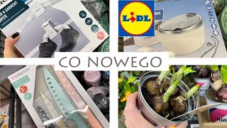 LIDL PRZEGLĄD NOWOŚCI JEDZIEMY na ZAKUPY CO NOWEGO GOŚĆ NA PLAŻY