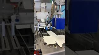 Keymac Cartoner Machine |  Horizontal end load cartoning