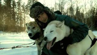 Expérimentez le traîneau à chien dans la région de La Jacques-Cartier !