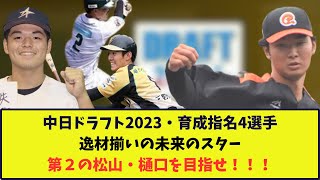 【逸材揃いの独立リーガー】中日・育成ドラフト4選手を紹介。特に育成3位の尾田選手が注目です！！