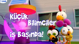 1 SAAT TÜRKÇE ÇİZGİ FİLM - Limon ile Zeytin 🤪👩‍🔬😁  #96 - Küçük Bilim İnsanları 🤪👨‍🔬😁 | TRT Çocuk