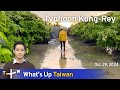 Typhoon Kong-Rey, What's Up Taiwan – News at 20:00, October 29, 2024｜TaiwanPlus News