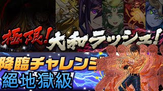 #パズドラ : 極限大和ラッシュ\