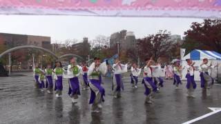 やいろ（四日市よさこい祭り2016）市民公園会場