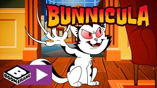 Bunnicula | Bunnicula als Kätzchen | Cartoonito