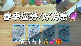 塔羅占卜🔮 春季（未來三個月）有什麼重磅好事會發生？有什麼值得感恩期待的事？❤️💰🎁🔥