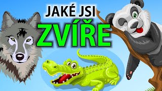 Jaké jsi zvíře? (test osobnosti)