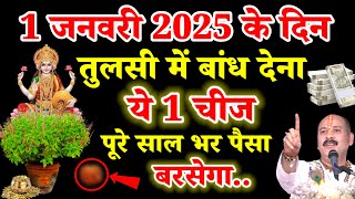 1 जनवरी 2025 नए साल के दिन तुलसी में बांध देना ये 1 चीज पूरे साल भर पैसा बरसेगा.#pradeepmishra