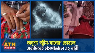 রাসেল’স ভাইপারের পর এবার অদৃশ্য ‘জ্বীন সাপ’ আতঙ্কে গ্রামবাসী! | Russels Viper BD | Jin Snake Panic